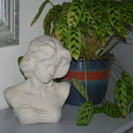 Apartamento Exklusive Lurelei 150 Qm Mit Traumblick 4 Bis 9 P