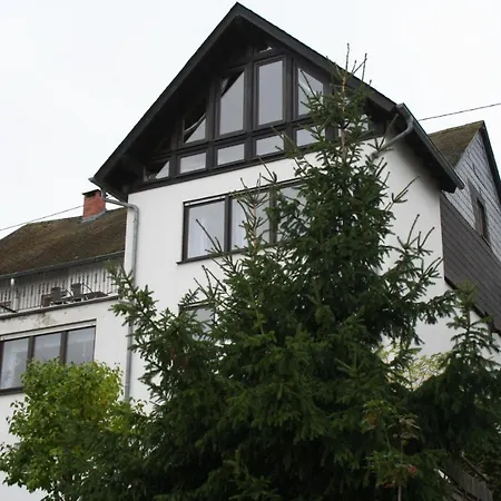 Exklusive Lurelei 150 Qm Mit Traumblick 4 Bis 9 P Apartman