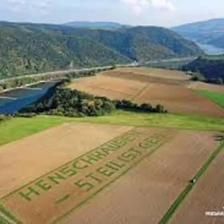 Exklusive Lurelei 150 Qm Mit Traumblick 4 Bis 9 P Bacharach