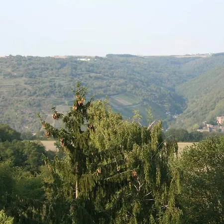 Exklusive Lurelei 150 Qm Mit Traumblick 4 Bis 9 P 바하라흐