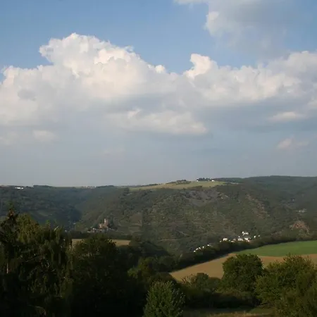 아파트 Exklusive Lurelei 150 Qm Mit Traumblick 4 Bis 9 P 바하라흐