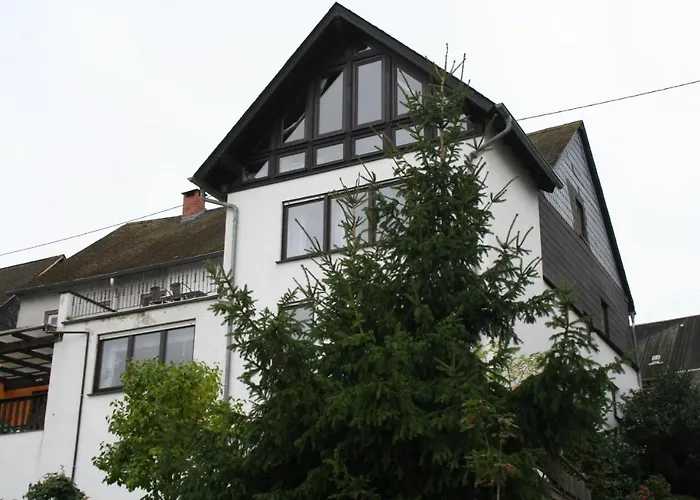 Exklusive Lurelei 150 Qm Mit Traumblick 4 Bis 9 P Apartment