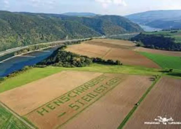 Exklusive Lurelei 150 Qm Mit Traumblick 4 Bis 9 P Bacharach