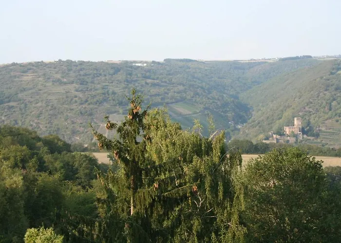 Exklusive Lurelei 150 Qm Mit Traumblick 4 Bis 9 P Bacharach